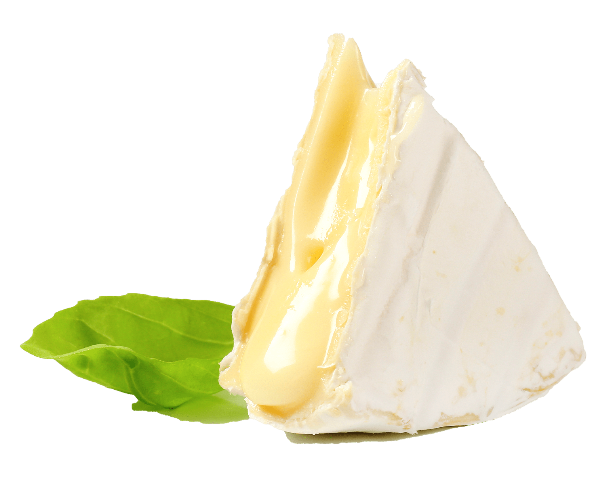 Soft brie cheese with basil leaf
