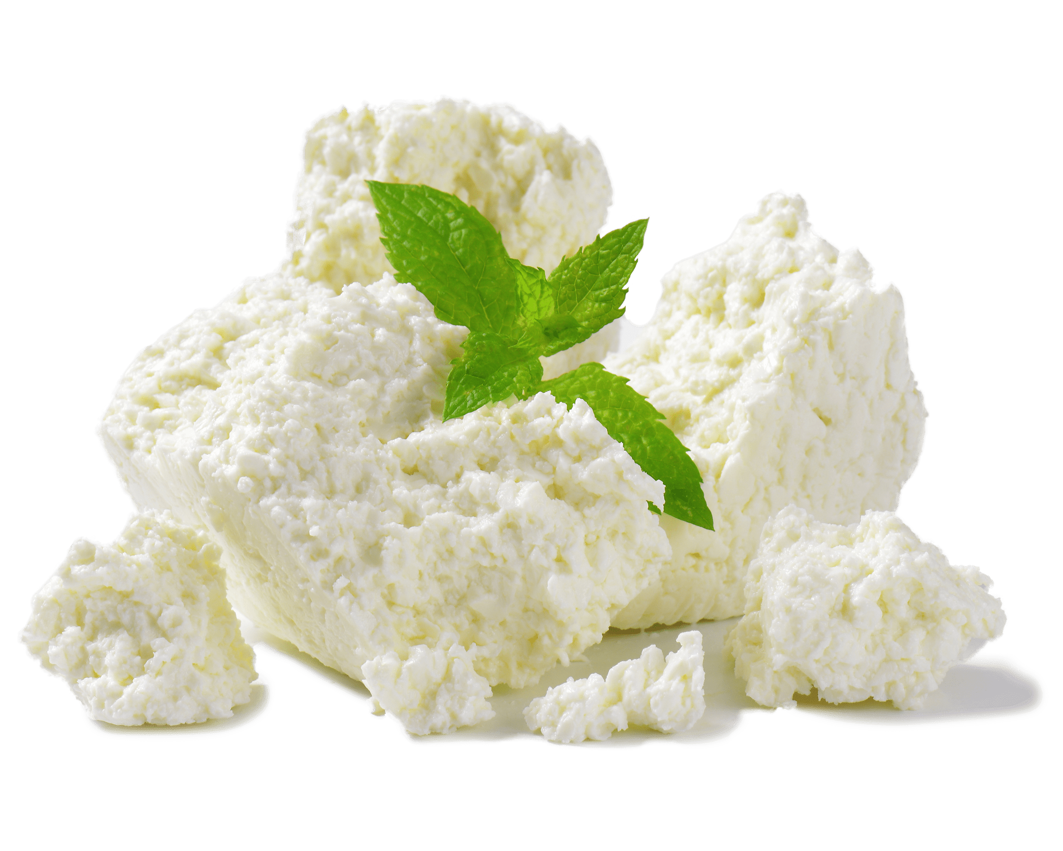 Ricotta cheese with mint leaves